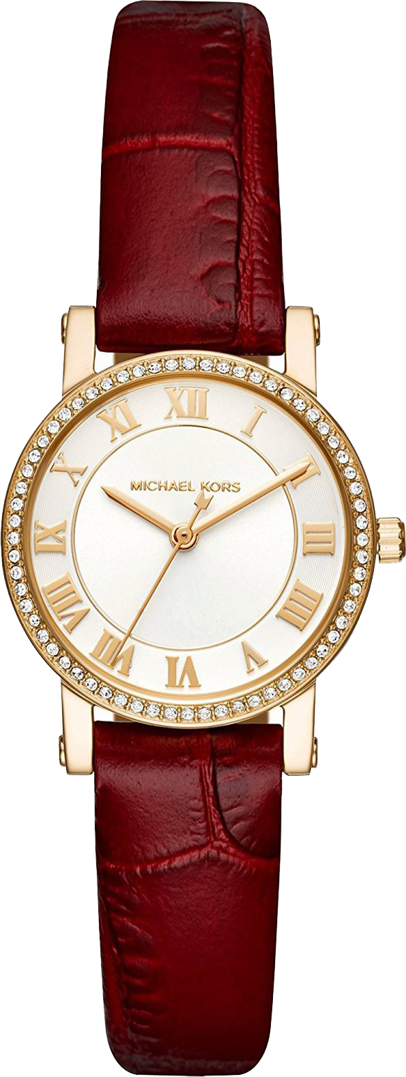 đồng hồ MICHAEL KORS PETITE MK2635 NORIERED LADIES WATCH 28MM