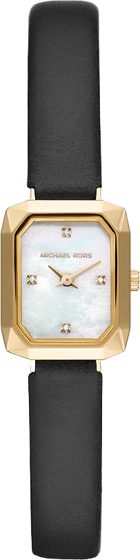 Đồng hồ Michael Kors Alane Two-Hand Watch 22mm