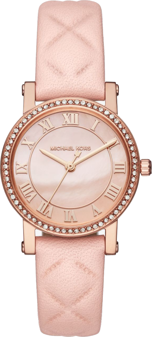 Michael Kors Petite Norie Watch 28mm